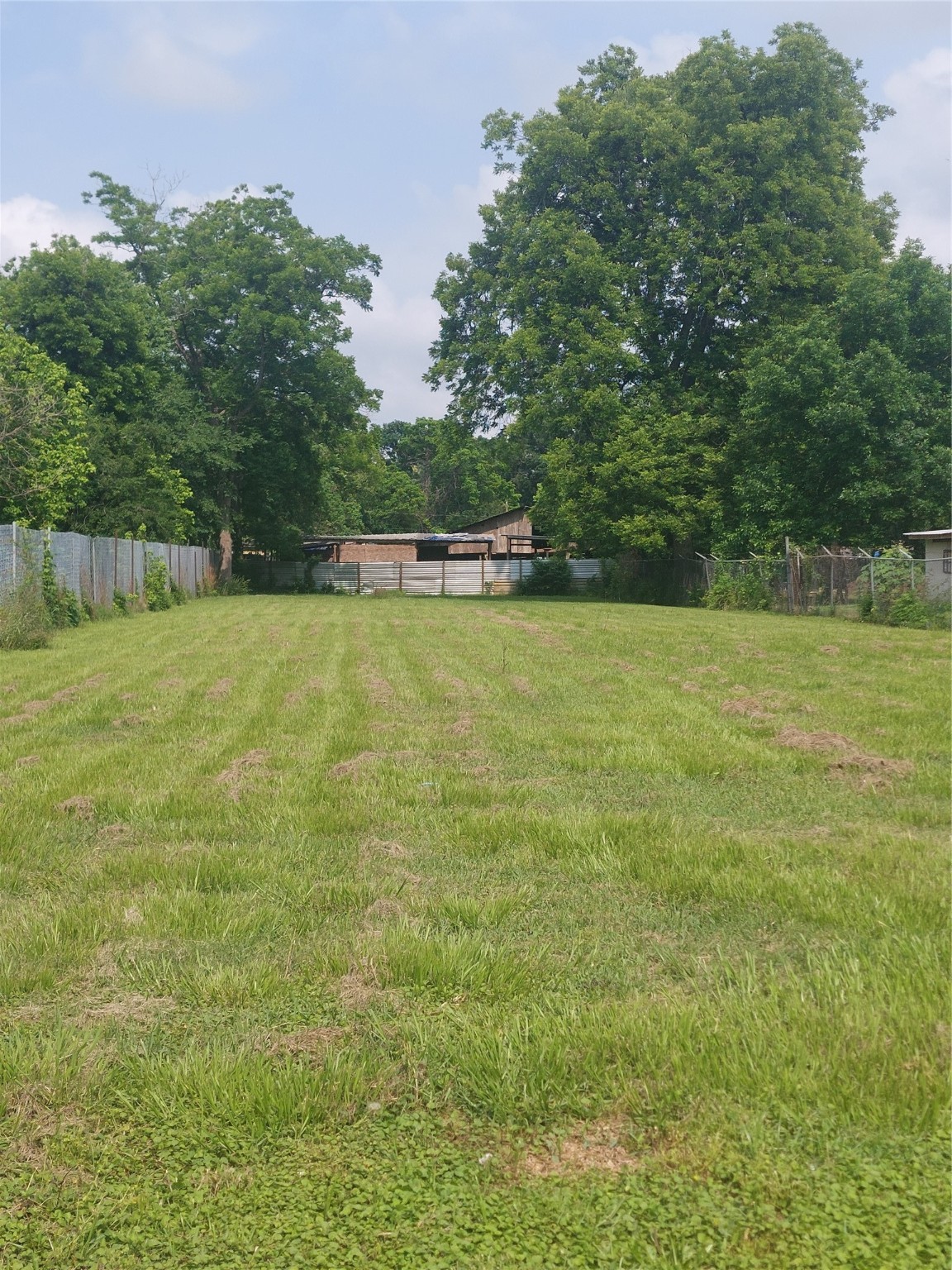 7330 Glass Street Houston, TX 77016 - Photo 4 of 4 a view of a big yard with an trees