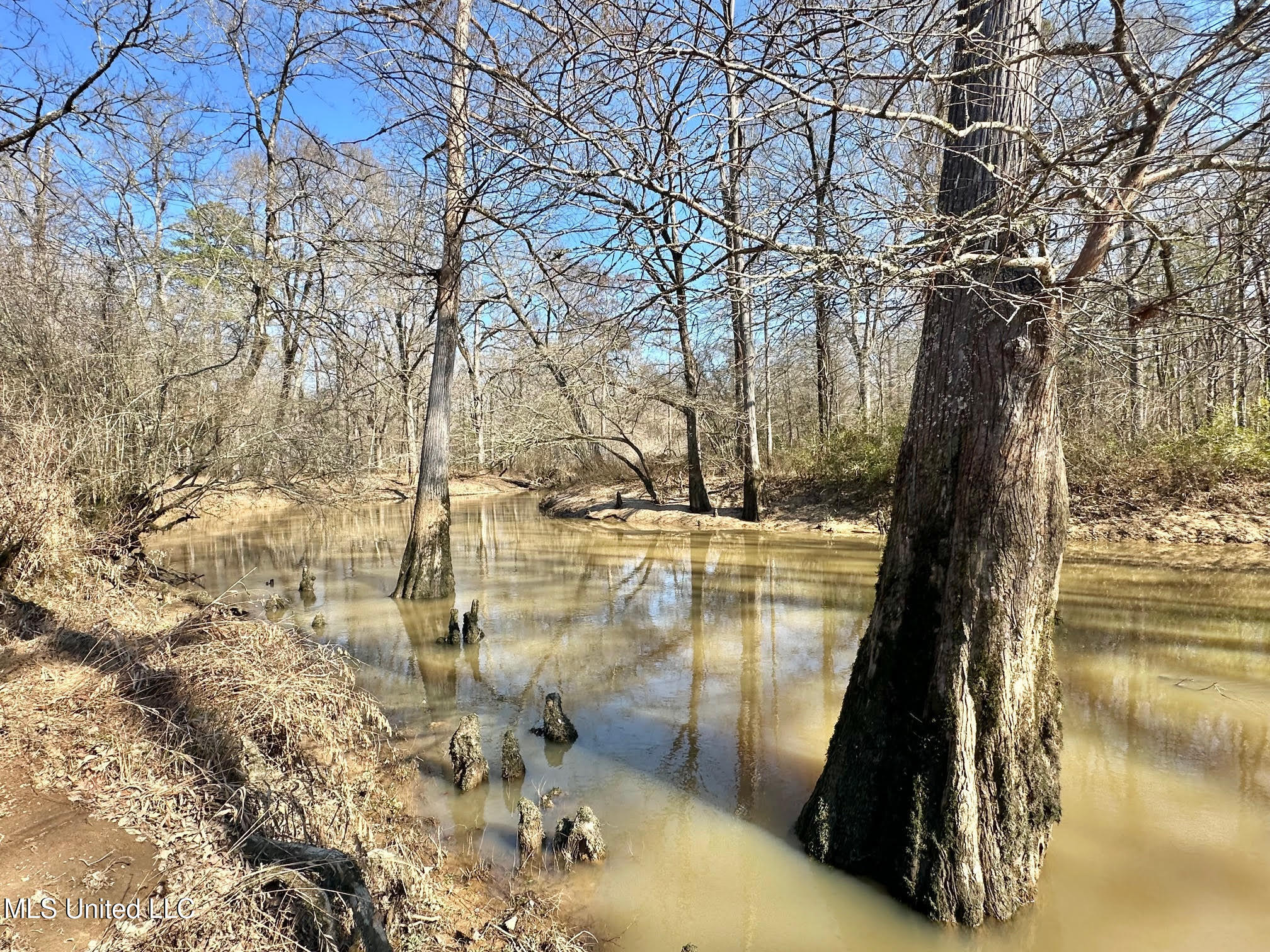 1 Evans Road Carthage, MS 39051 - Photo 104 of 164 117