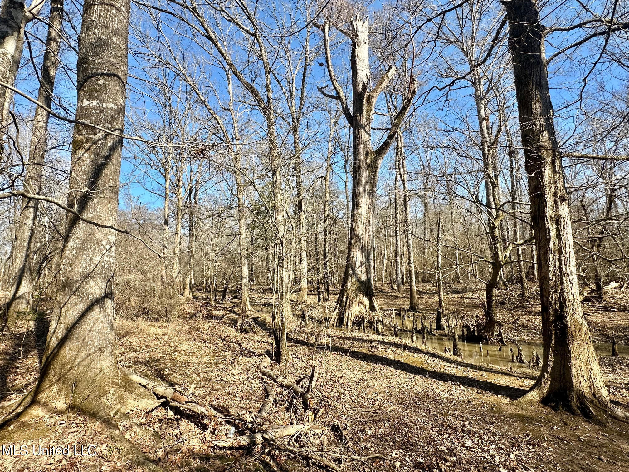 1 Evans Road Carthage, MS 39051 - Photo 105 of 164 118