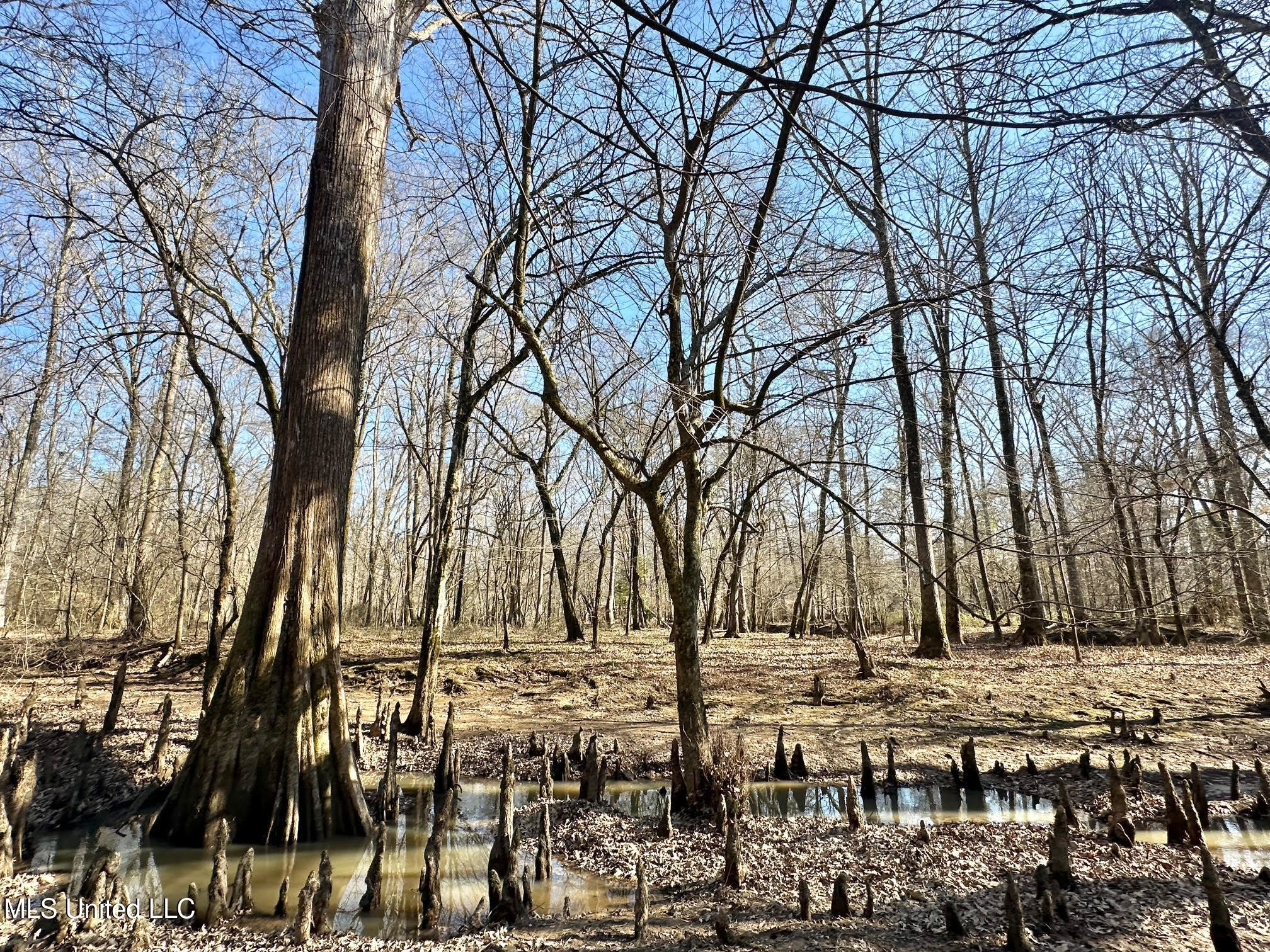 1 Evans Road Carthage, MS 39051 - Photo 108 of 164 121