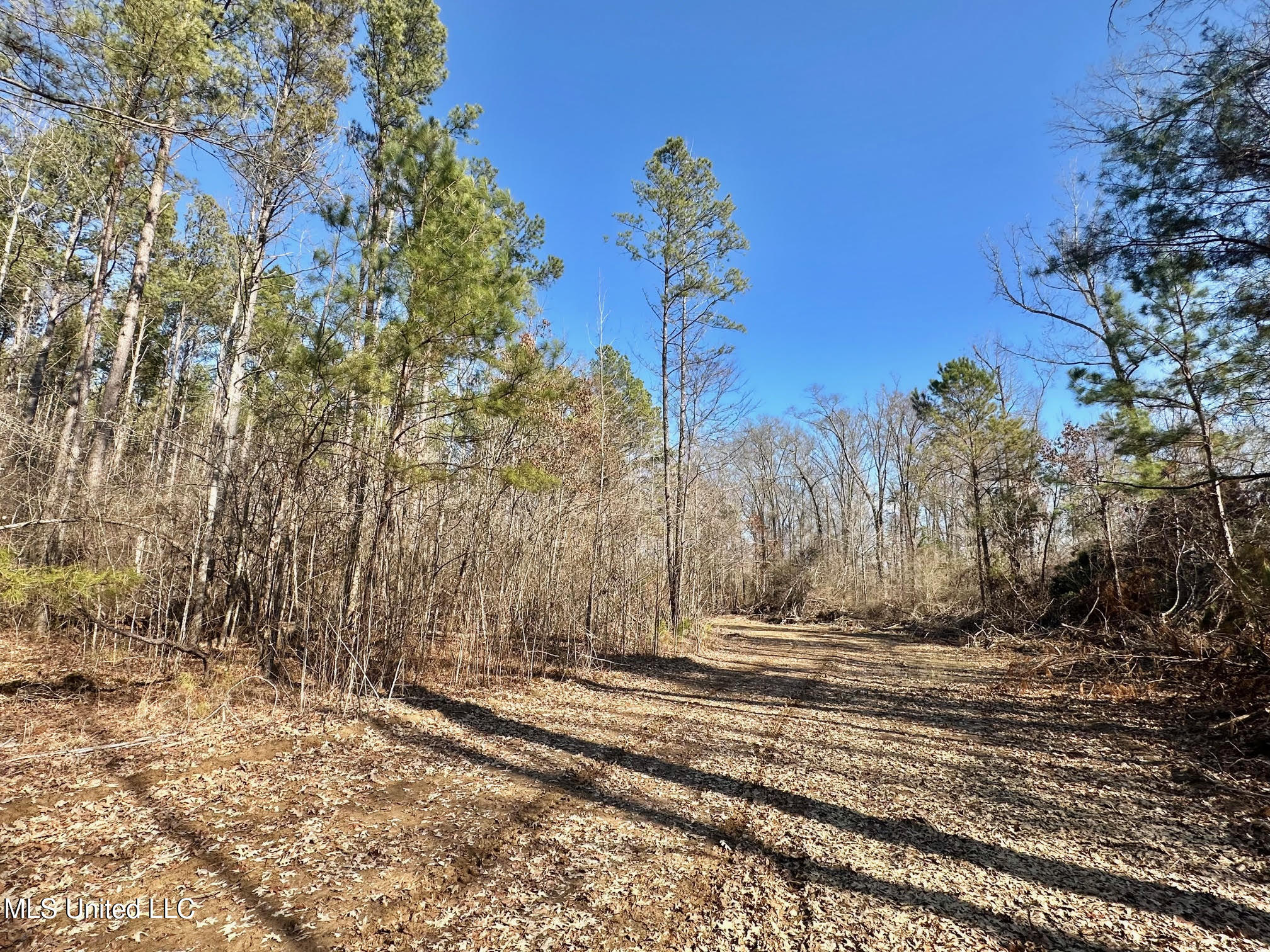1 Evans Road Carthage, MS 39051 - Photo 113 of 164 126