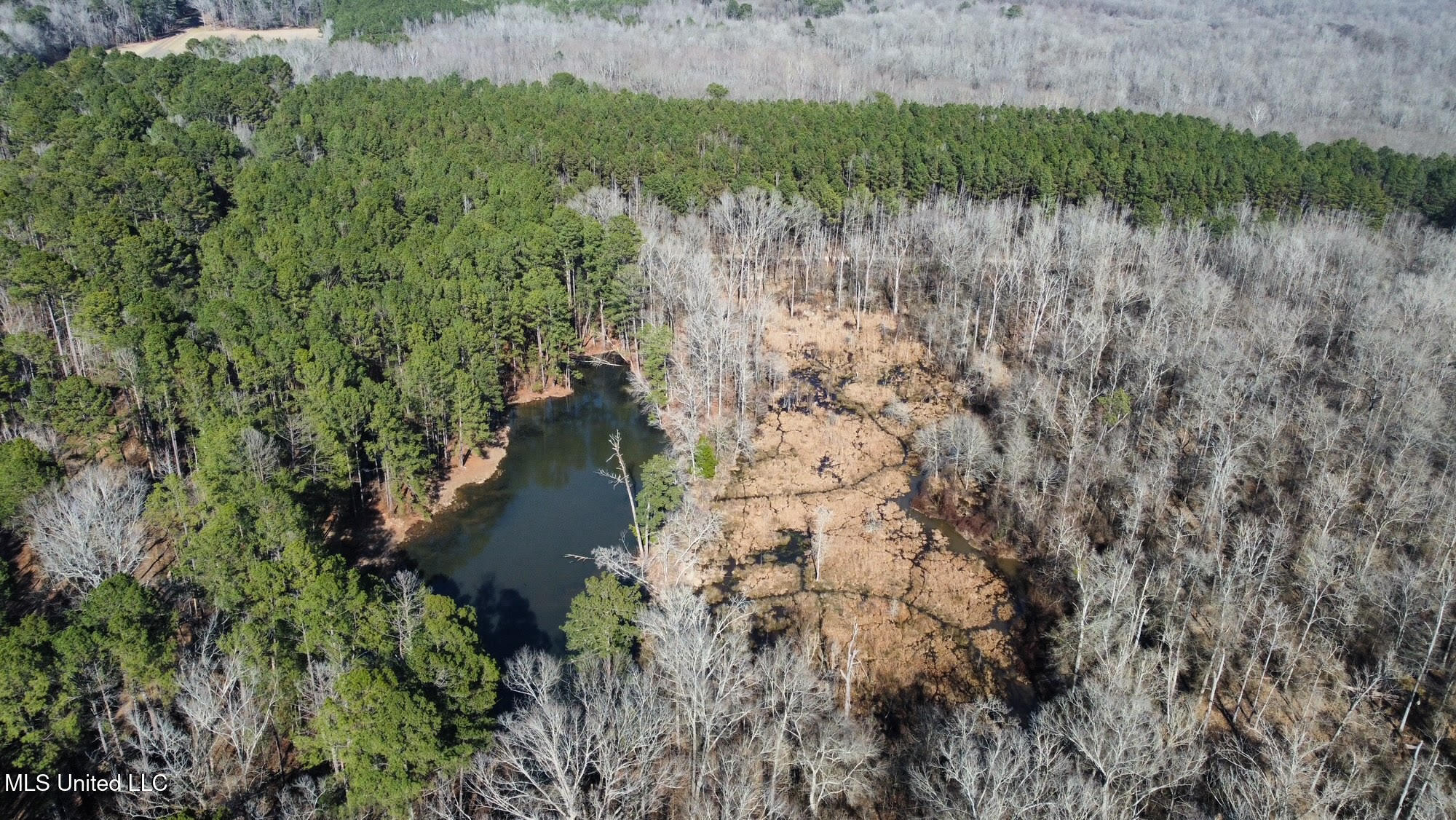 1 Evans Road Carthage, MS 39051 - Photo 117 of 164 130