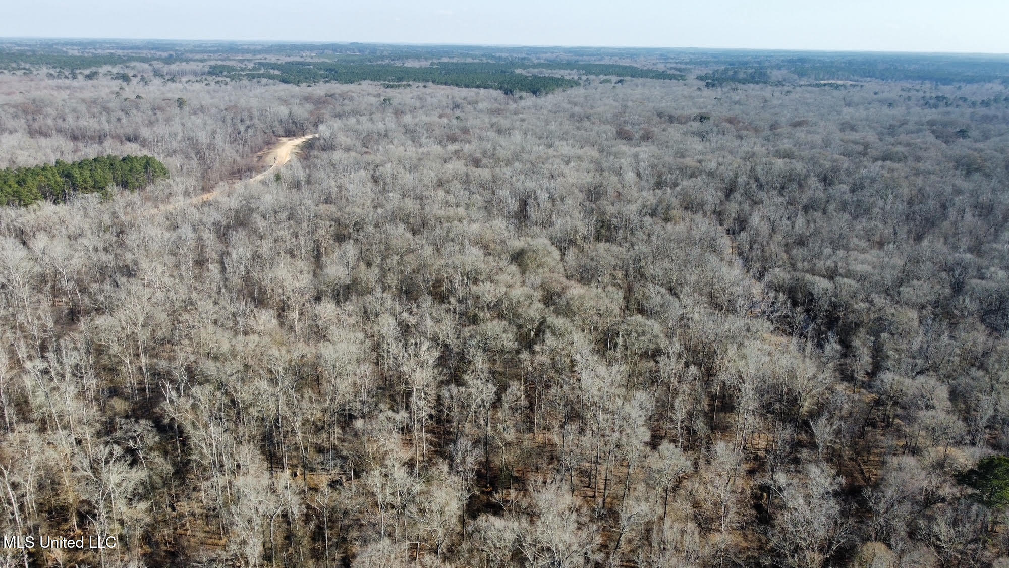 1 Evans Road Carthage, MS 39051 - Photo 118 of 164 131