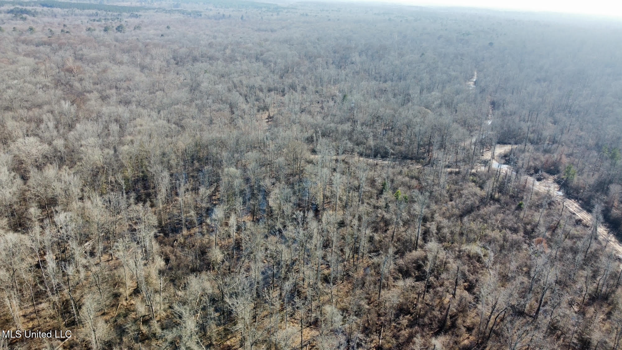 1 Evans Road Carthage, MS 39051 - Photo 120 of 164 133