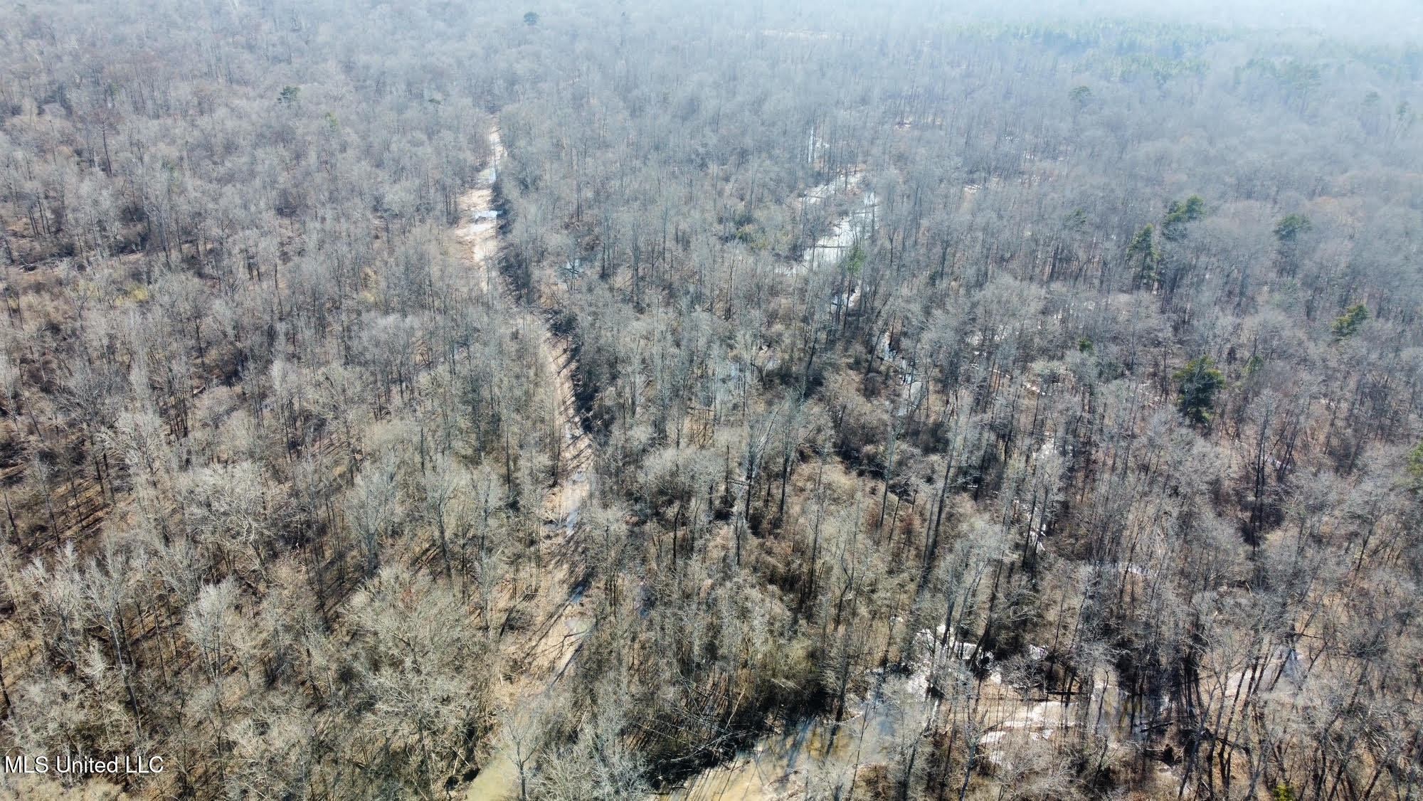 1 Evans Road Carthage, MS 39051 - Photo 122 of 164 135