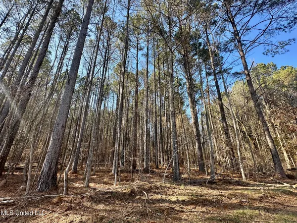 $5,350,000 | 1 Evans Road, Carthage, MS 39051