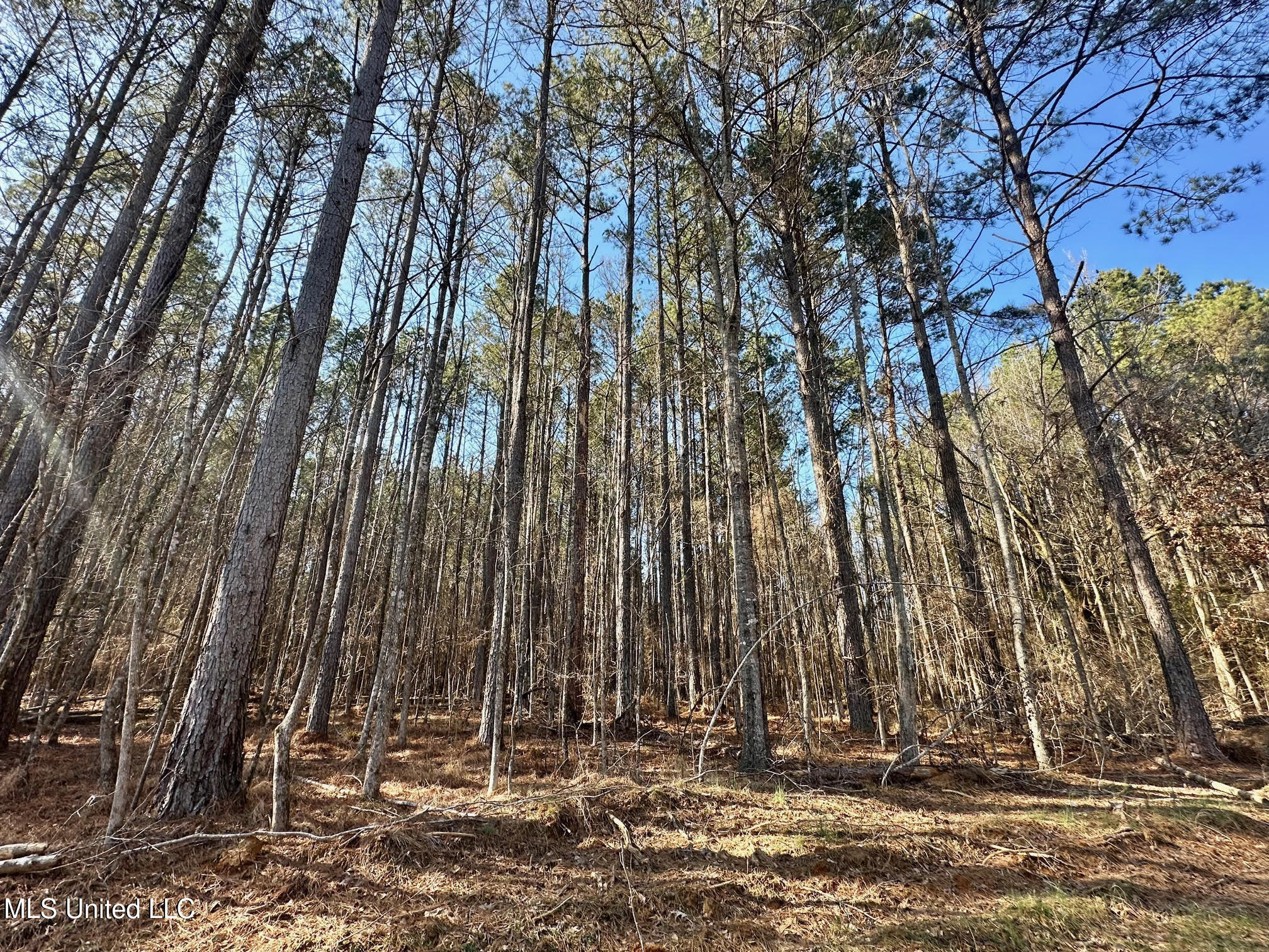 1 Evans Road Carthage, MS 39051 - Photo 124 of 164 137