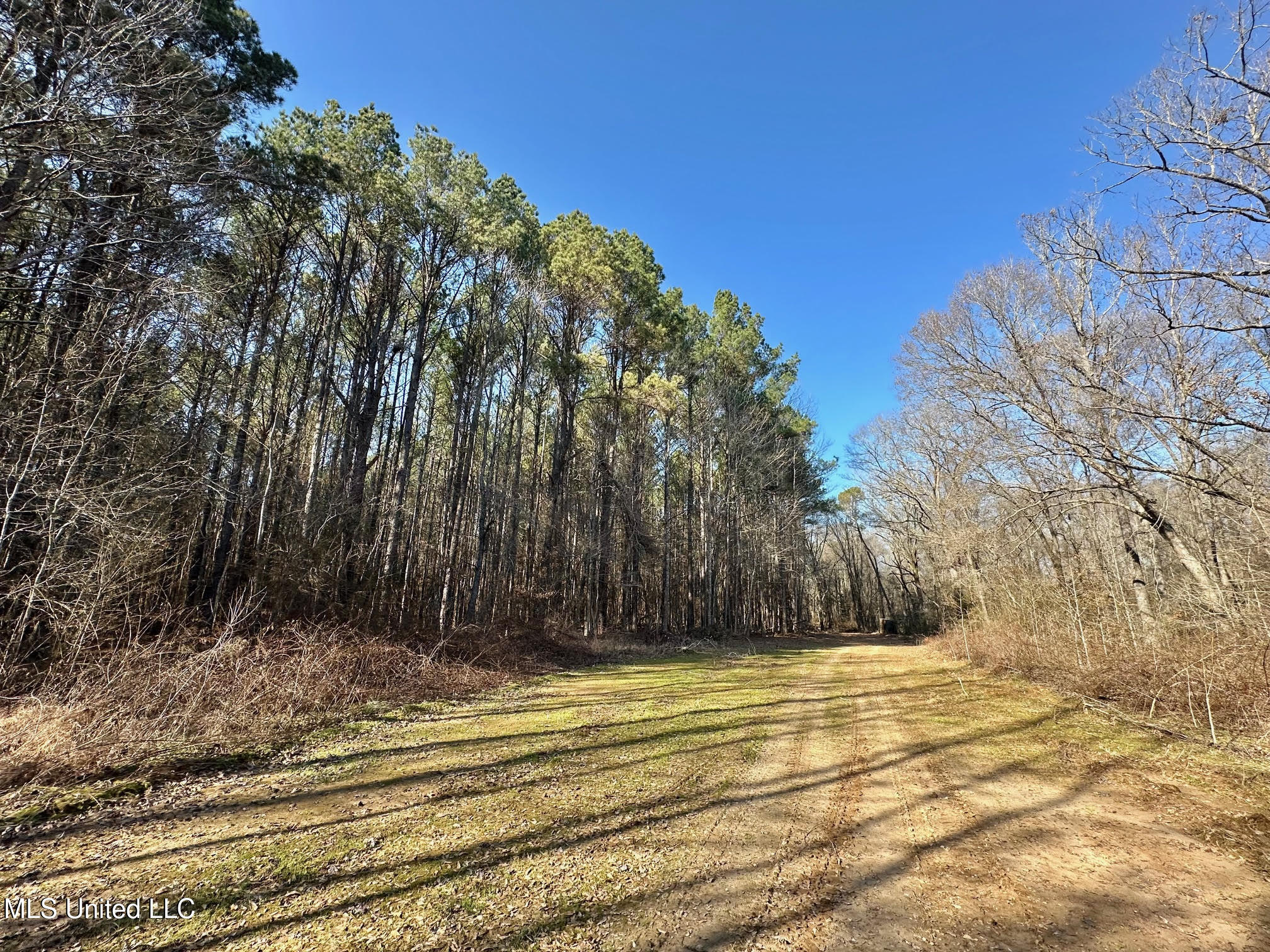 1 Evans Road Carthage, MS 39051 - Photo 126 of 164 139