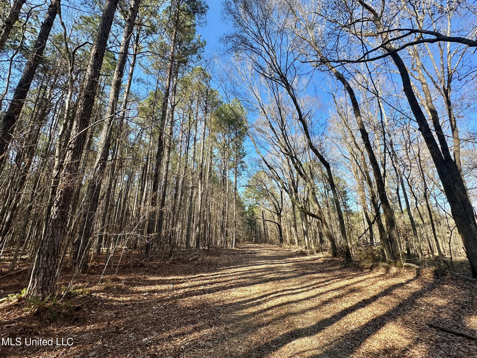 1 Evans Road Carthage, MS 39051 - Photo 127 of 164 140