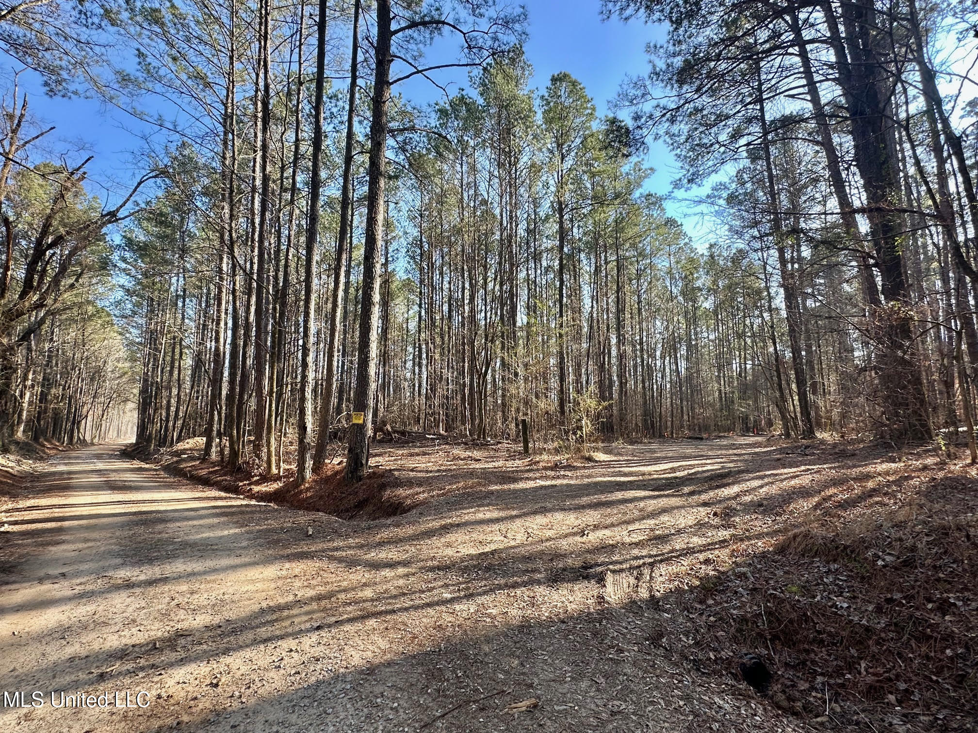 1 Evans Road Carthage, MS 39051 - Photo 130 of 164 143