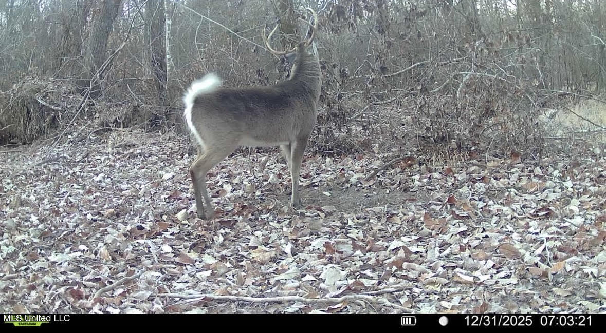 1 Evans Road Carthage, MS 39051 - Photo 134 of 164 147