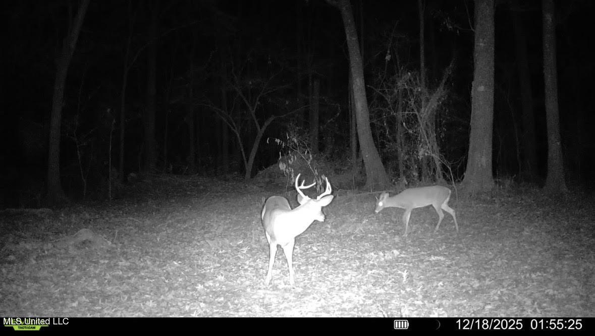1 Evans Road Carthage, MS 39051 - Photo 135 of 164 148