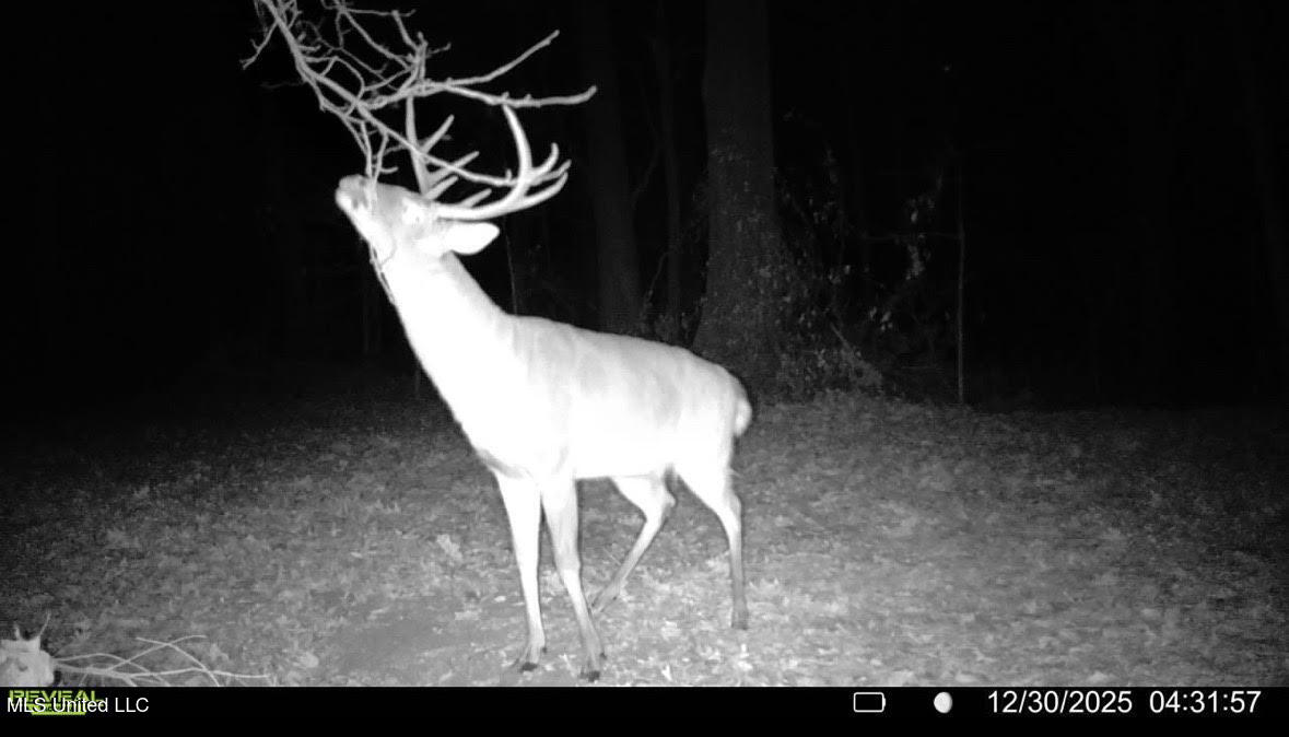 1 Evans Road Carthage, MS 39051 - Photo 138 of 164 151