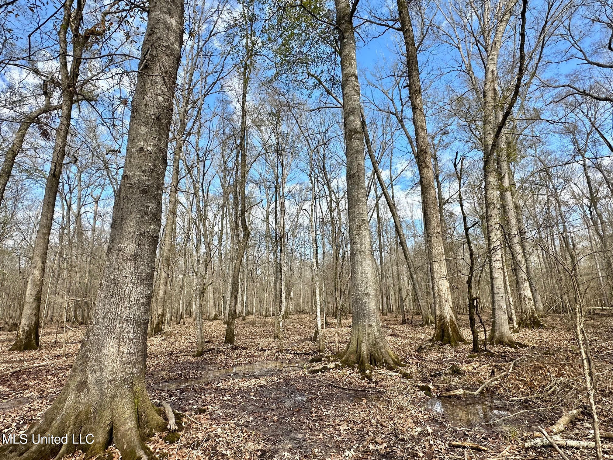 1 Evans Road Carthage, MS 39051 - Photo 14 of 164 18