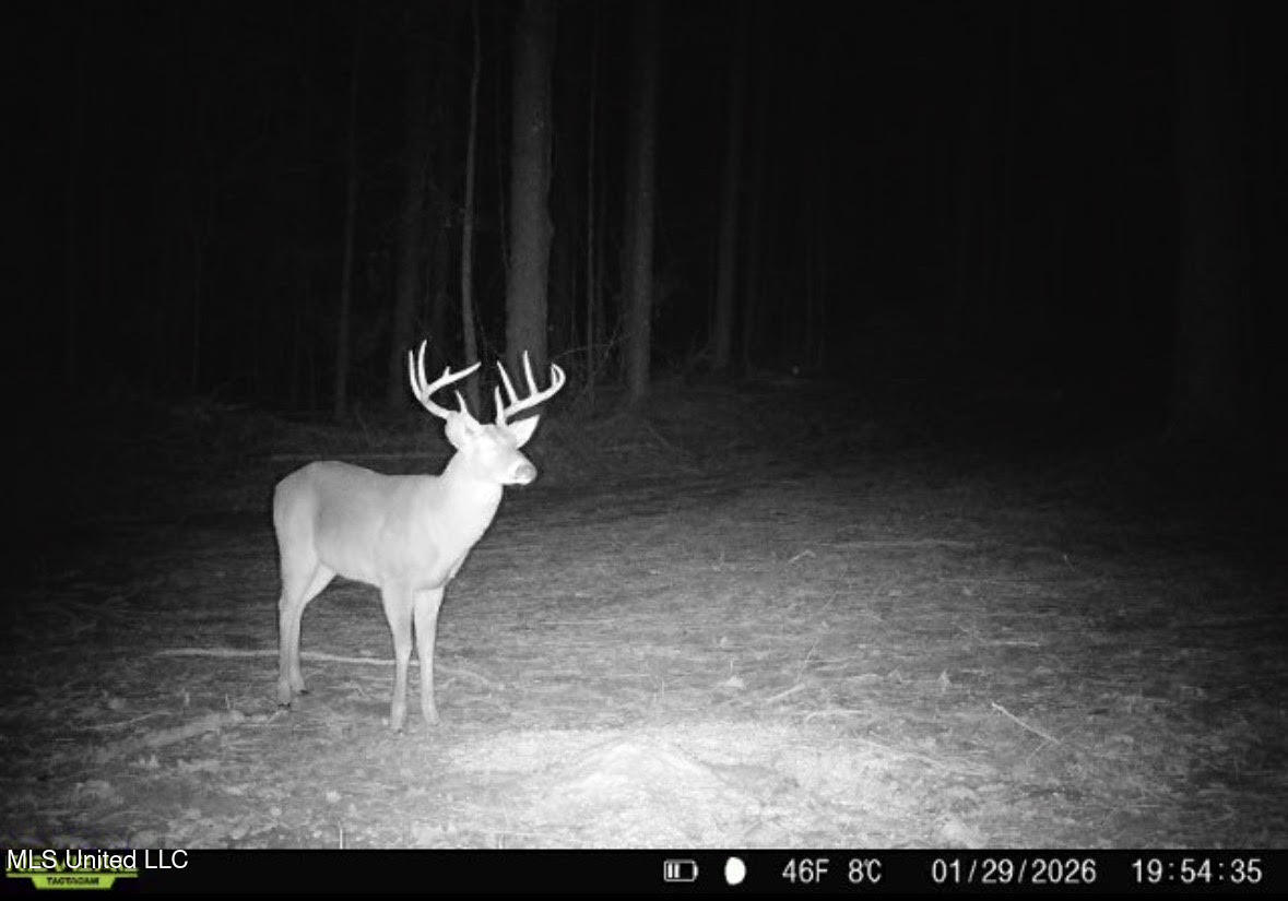 1 Evans Road Carthage, MS 39051 - Photo 148 of 164 161