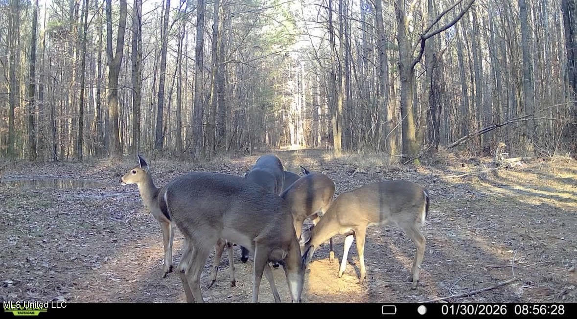 1 Evans Road Carthage, MS 39051 - Photo 150 of 164 163