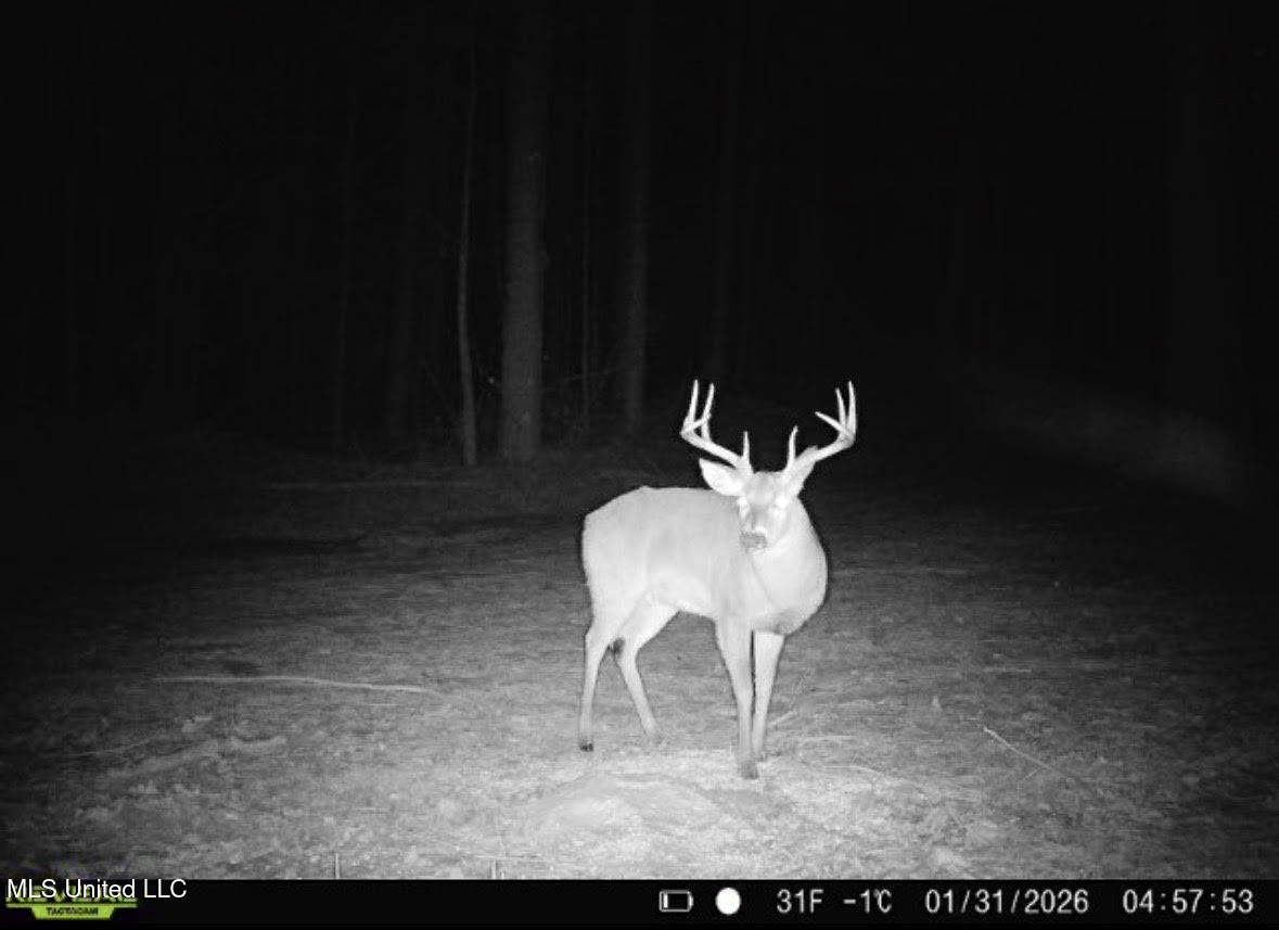 1 Evans Road Carthage, MS 39051 - Photo 153 of 164 166