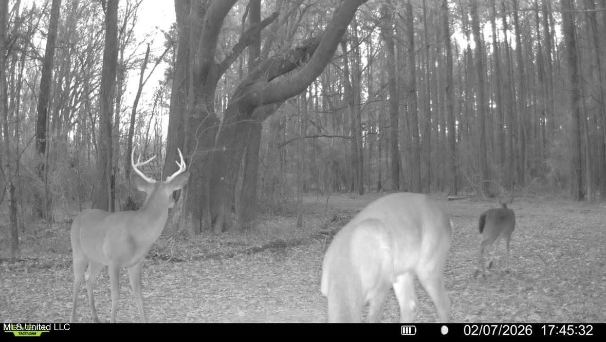 1 Evans Road Carthage, MS 39051 - Photo 156 of 164 169