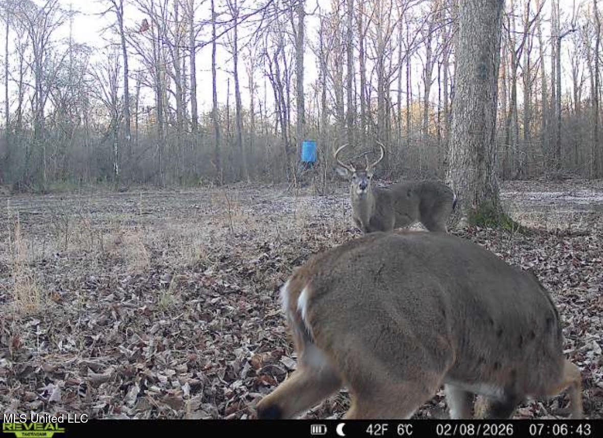 1 Evans Road Carthage, MS 39051 - Photo 158 of 164 171