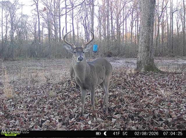 1 Evans Road Carthage, MS 39051 - Photo 159 of 164 172