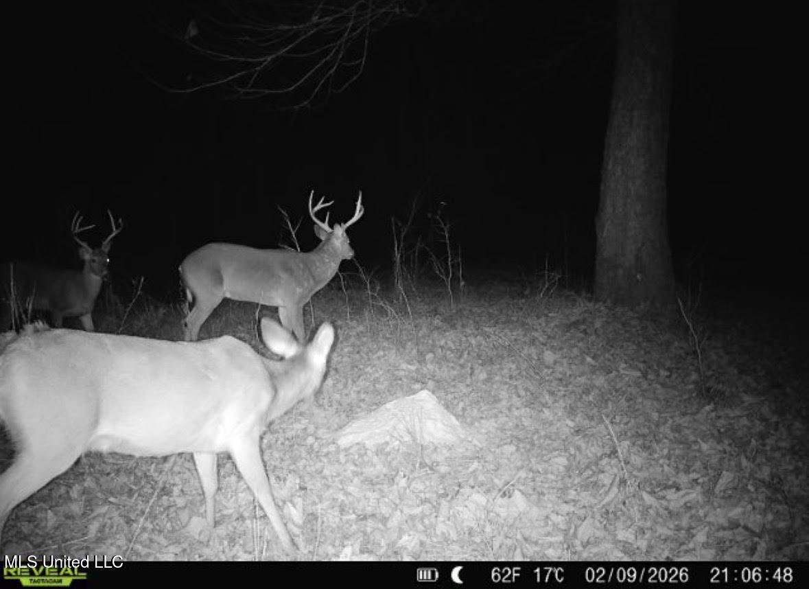 1 Evans Road Carthage, MS 39051 - Photo 160 of 164 173