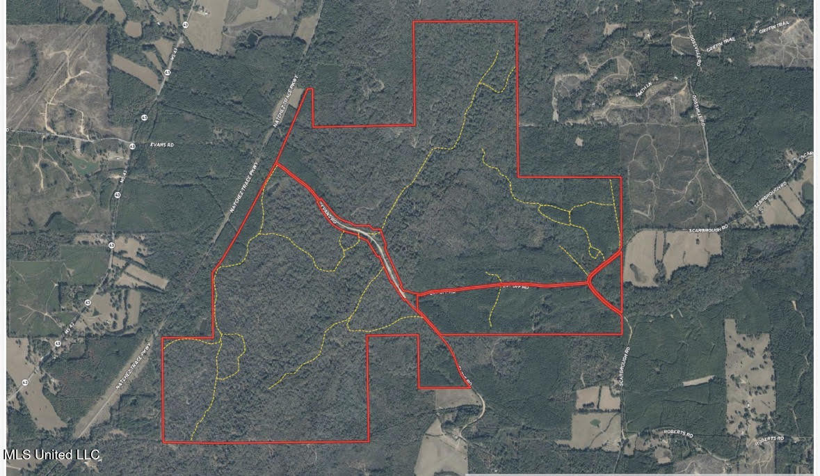 1 Evans Road Carthage, MS 39051 - Photo 161 of 164 174