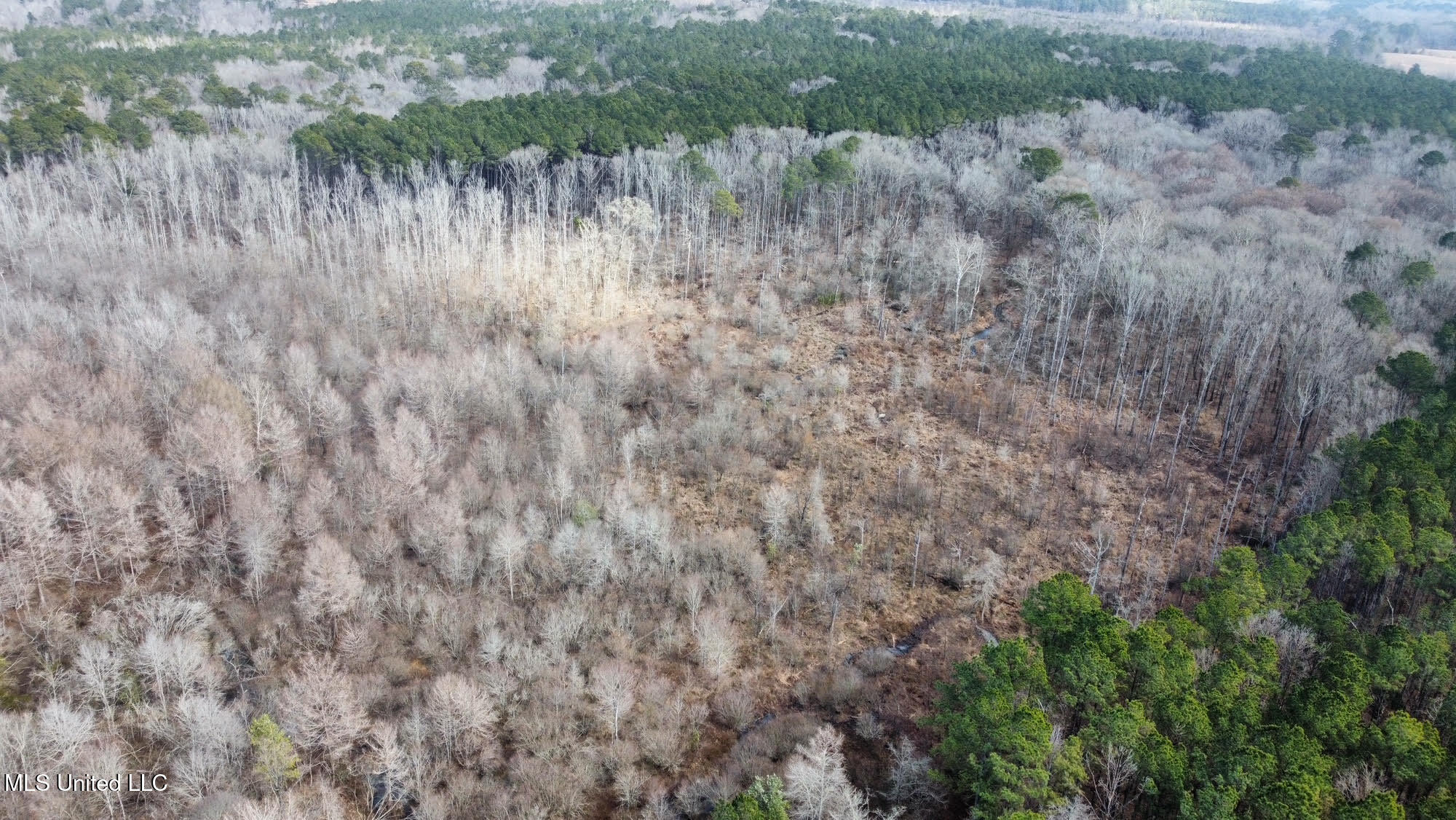 1 Evans Road Carthage, MS 39051 - Photo 20 of 164 24