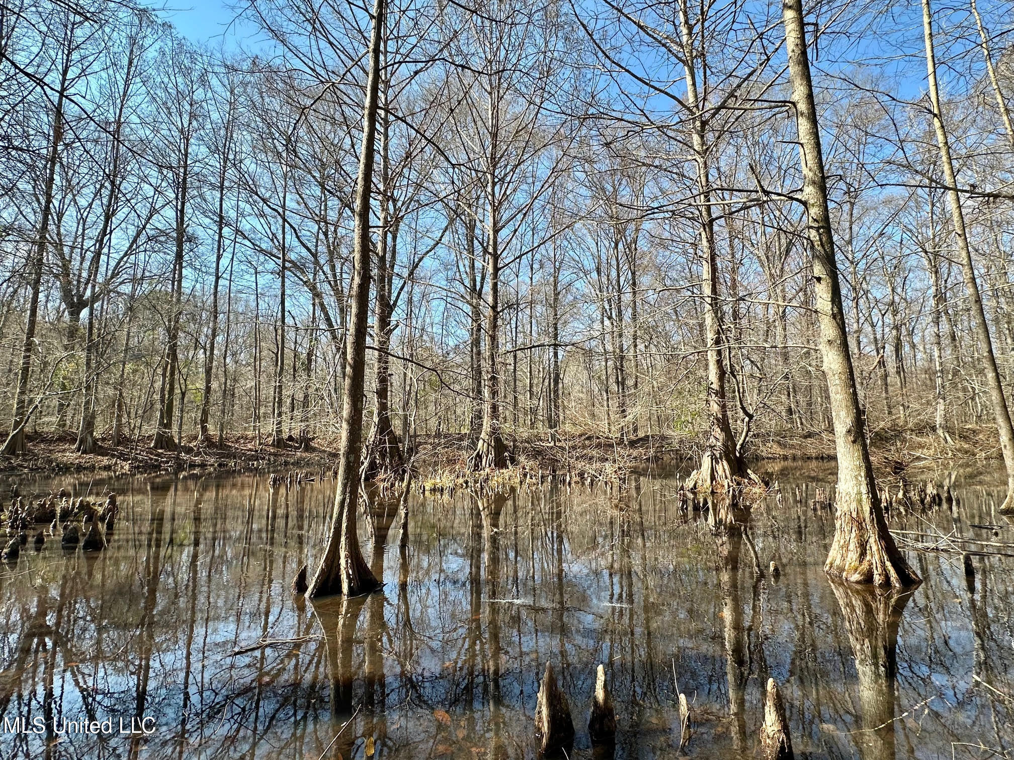 1 Evans Road Carthage, MS 39051 - Photo 31 of 164 38