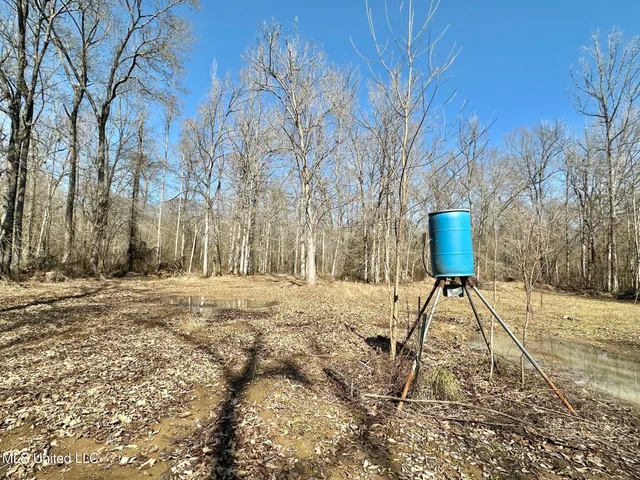 $5,350,000 | 1 Evans Road, Carthage, MS 39051