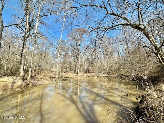 $5,350,000 | 1 Evans Road, Carthage, MS 39051