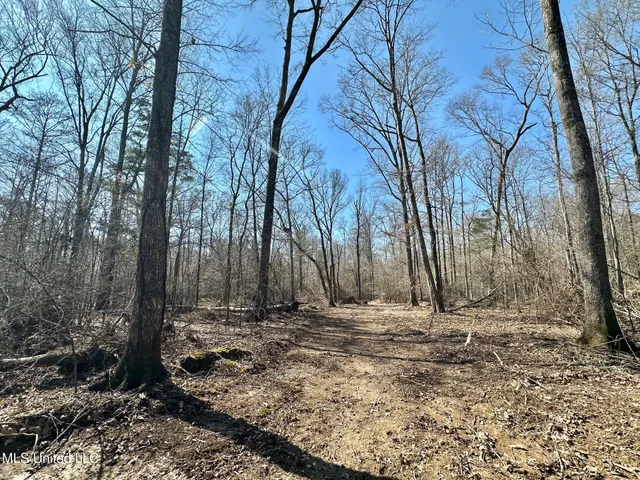 $5,350,000 | 1 Evans Road, Carthage, MS 39051