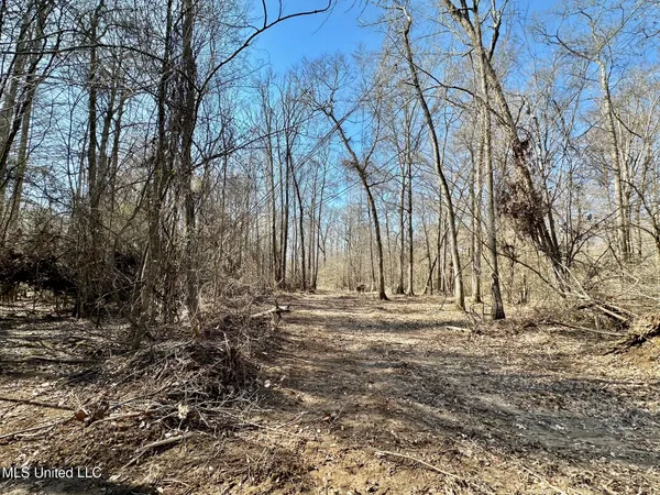 $5,350,000 | 1 Evans Road, Carthage, MS 39051