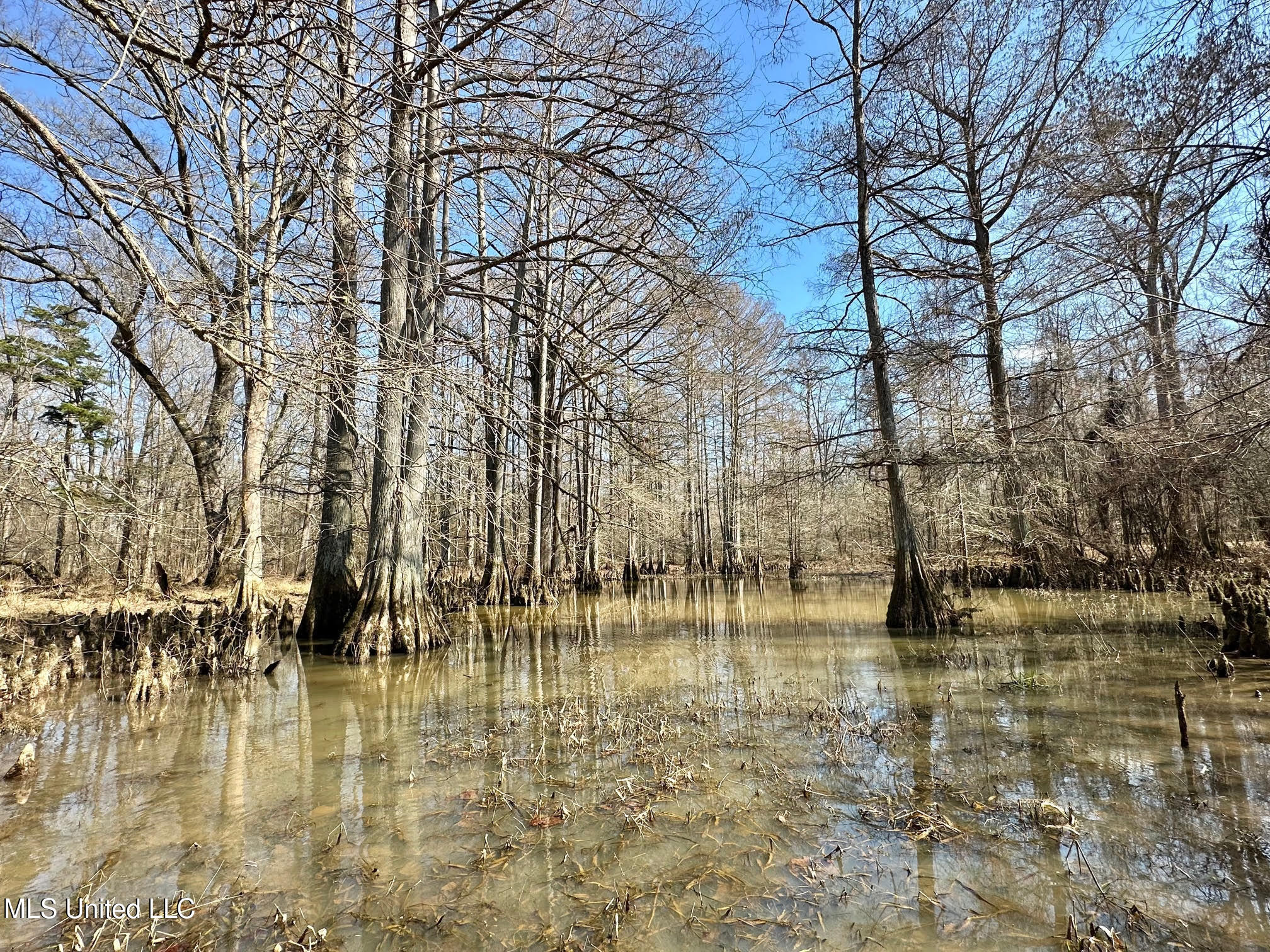 1 Evans Road Carthage, MS 39051 - Photo 62 of 164 70