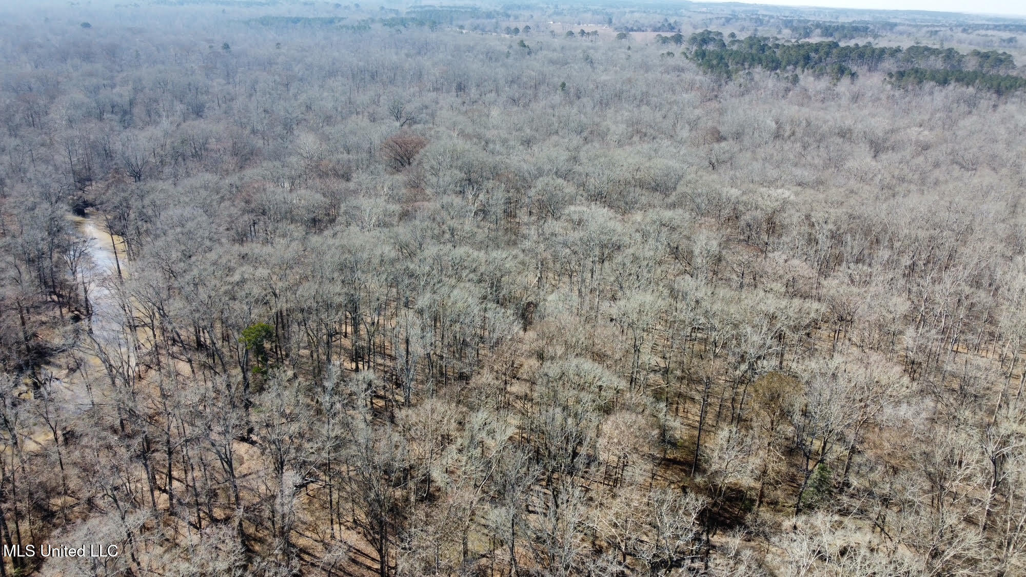 1 Evans Road Carthage, MS 39051 - Photo 67 of 164 75