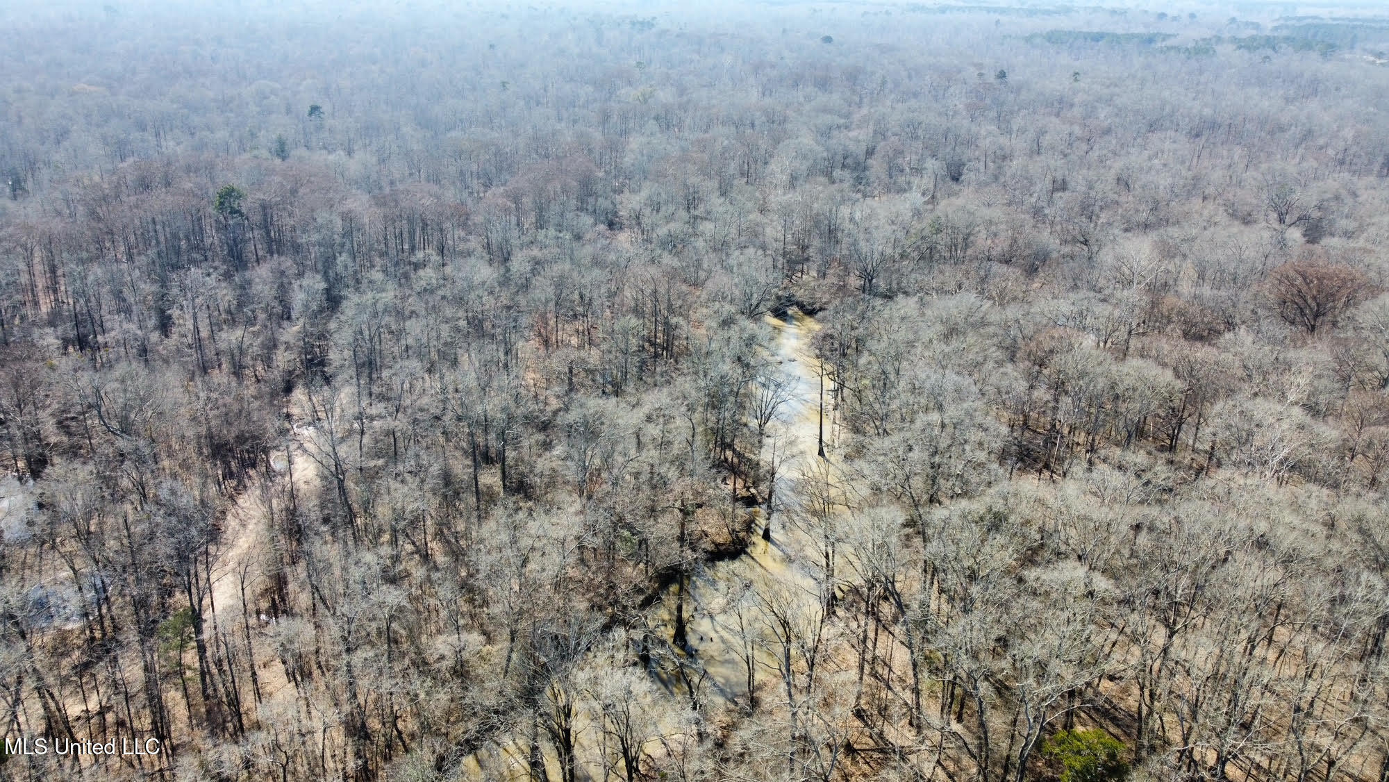 1 Evans Road Carthage, MS 39051 - Photo 68 of 164 76