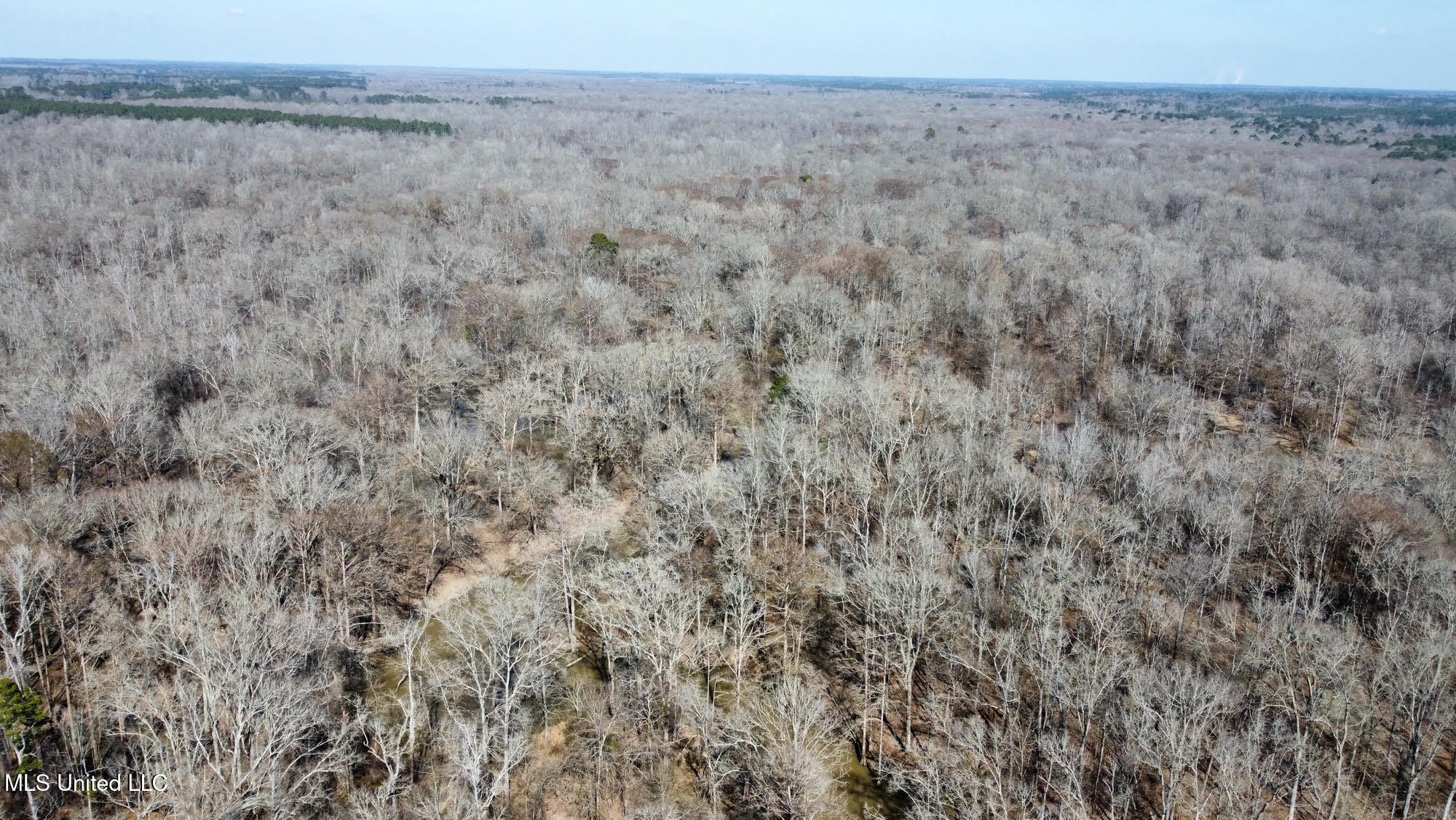 1 Evans Road Carthage, MS 39051 - Photo 69 of 164 79