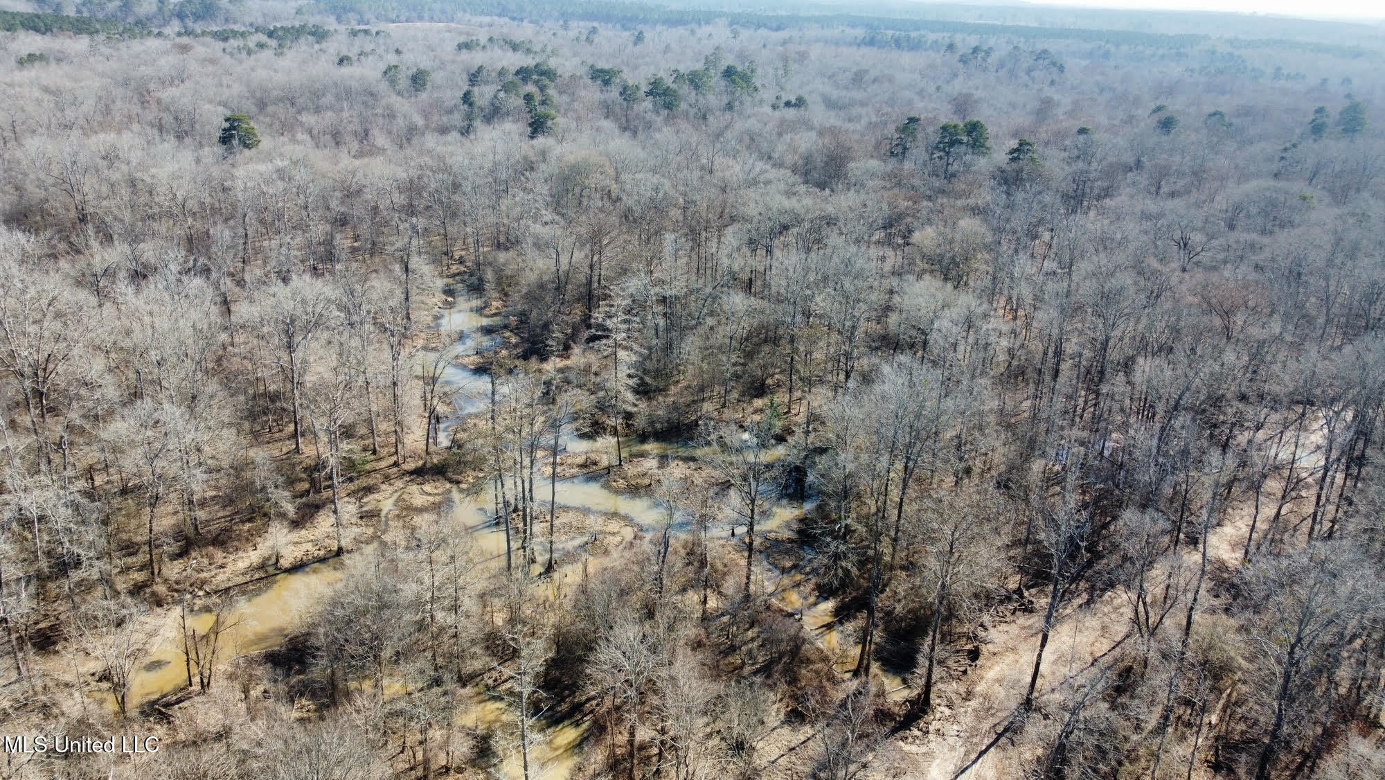 1 Evans Road Carthage, MS 39051 - Photo 74 of 164 84