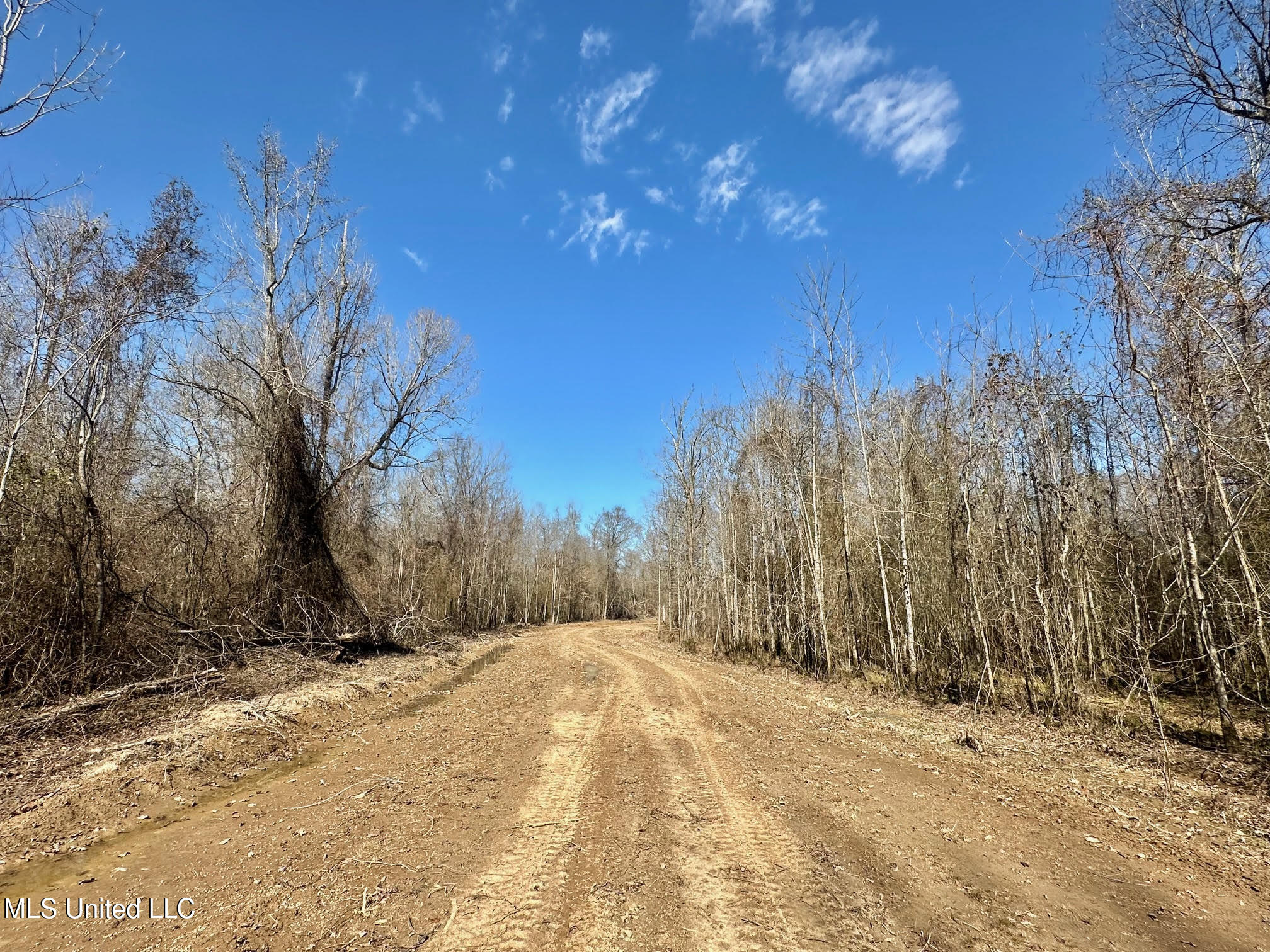 1 Evans Road Carthage, MS 39051 - Photo 78 of 164 91