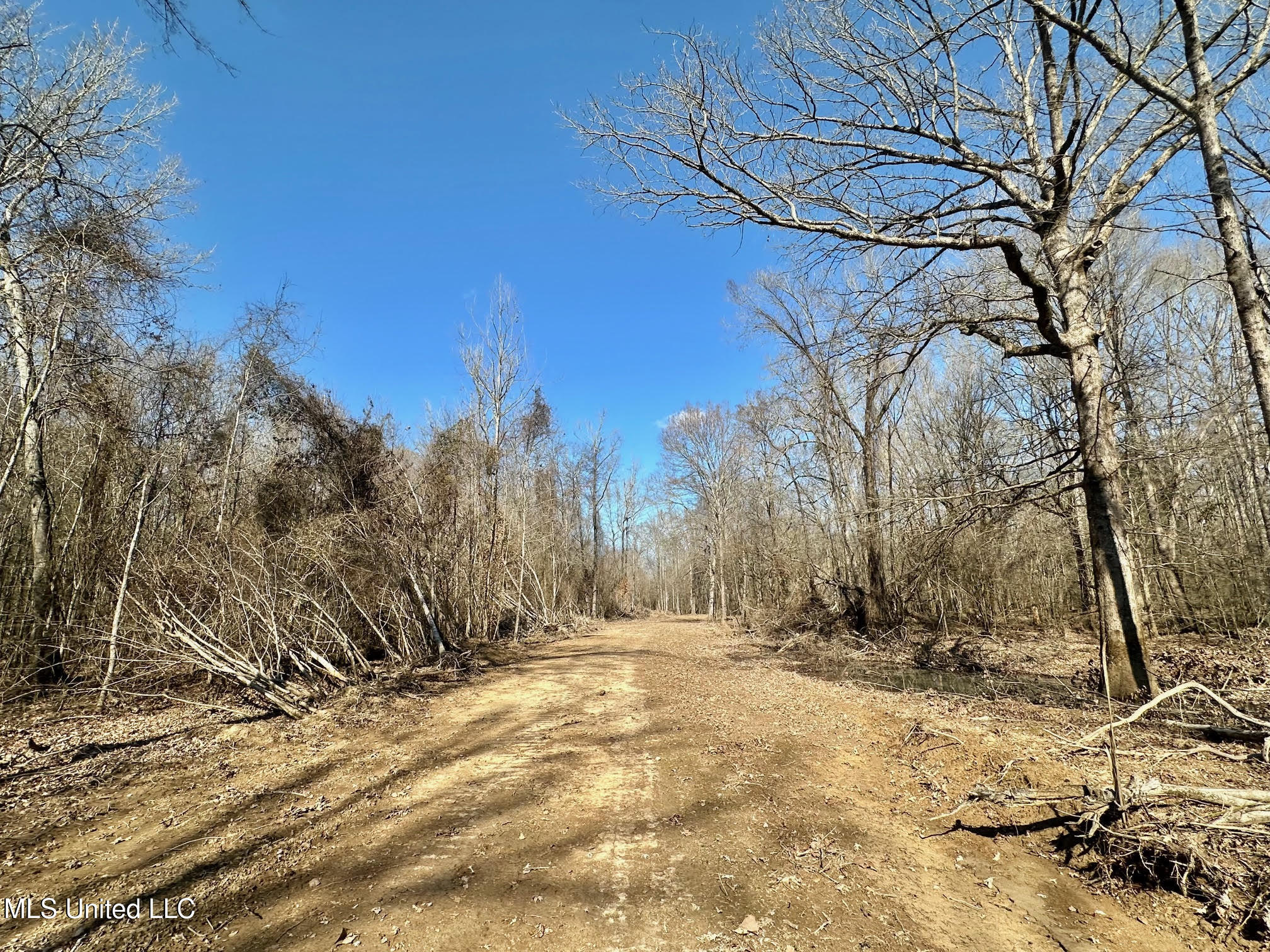 1 Evans Road Carthage, MS 39051 - Photo 84 of 164 97