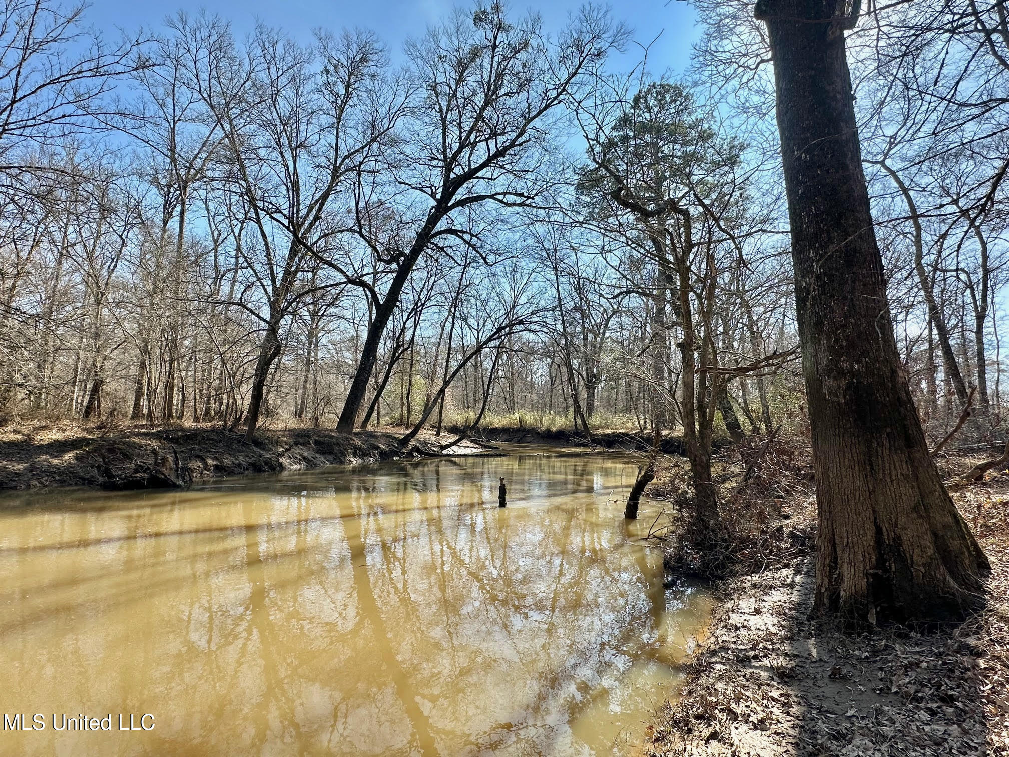 1 Evans Road Carthage, MS 39051 - Photo 87 of 164 100
