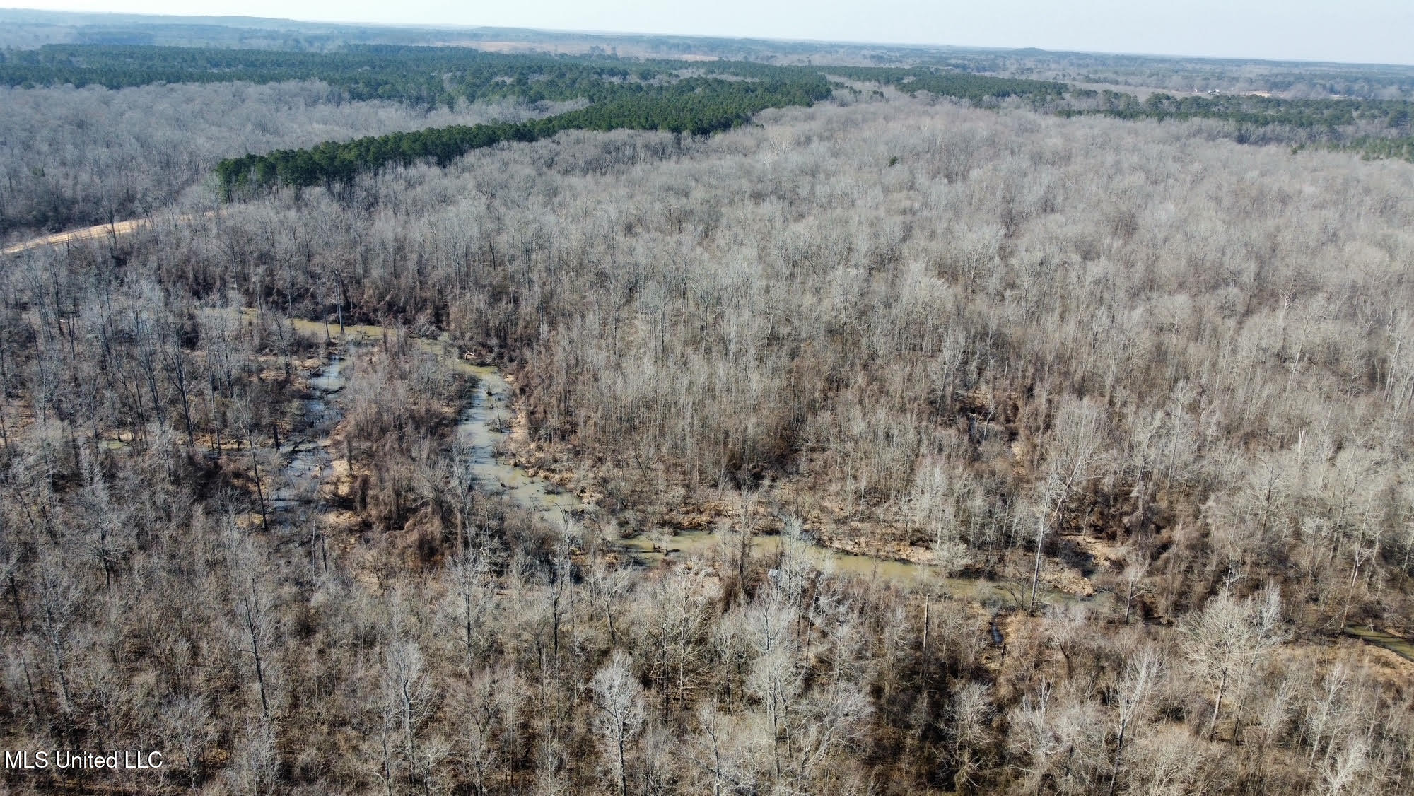 1 Evans Road Carthage, MS 39051 - Photo 98 of 164 111