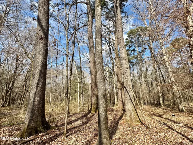 $5,350,000 | 1 Evans Road, Carthage, MS 39051