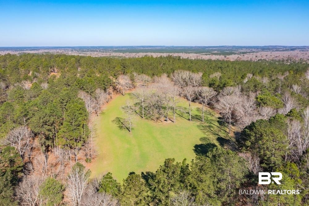 0 Private Road Millry, AL 36558 - Photo 30 of 50
