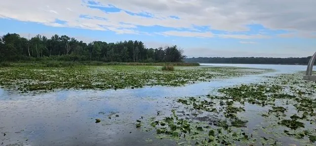 $159,000 | Xxxx Forthun Road, Baxter, MN 56425