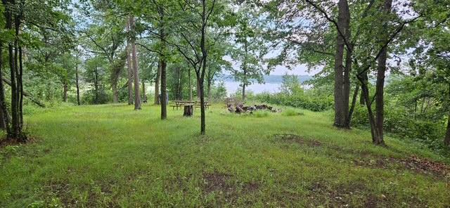 Xxxx Forthun Road Baxter, MN 56425 - Photo 4 of 15