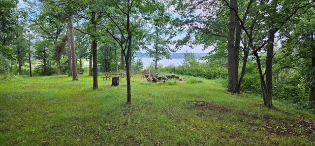 Xxxx Forthun Road Baxter, MN 56425 - Photo 5 of 15