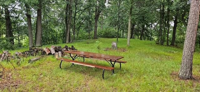 Xxxx Forthun Road Baxter, MN 56425 - Photo 7 of 15