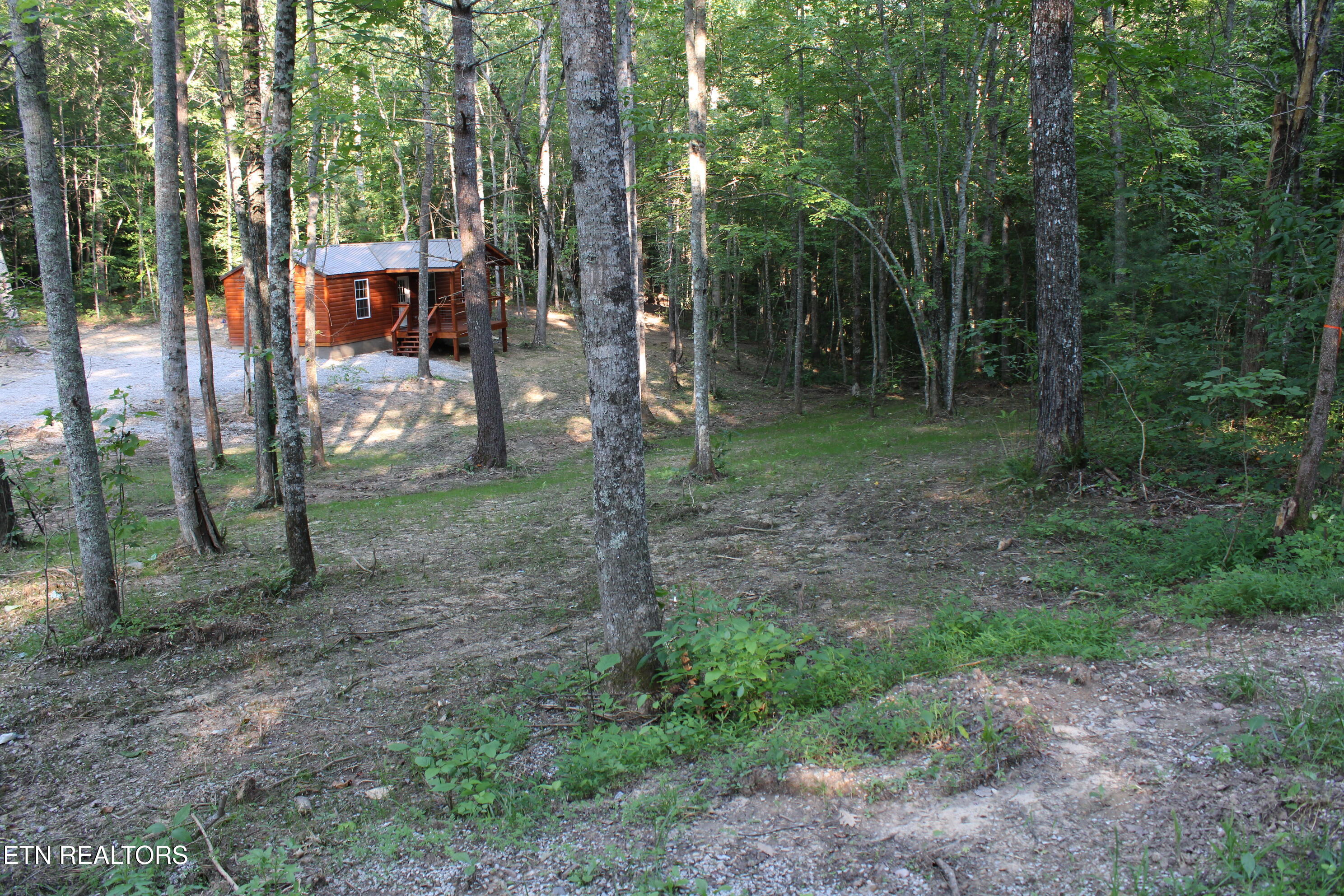 137 John Cox Road Deer Lodge, TN 37726 - Photo 10 of 43 IMG_0271