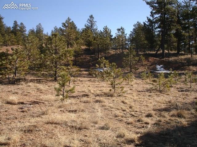 89 Reed Drive Florissant, CO 80816 - Photo 4 of 4