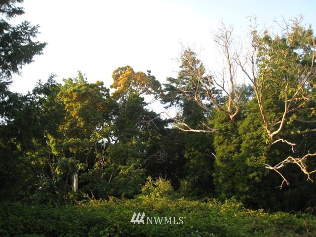 0 Lopez Way Point Roberts, WA 98281 - Photo 1 of 1 a view of a tree with a tree